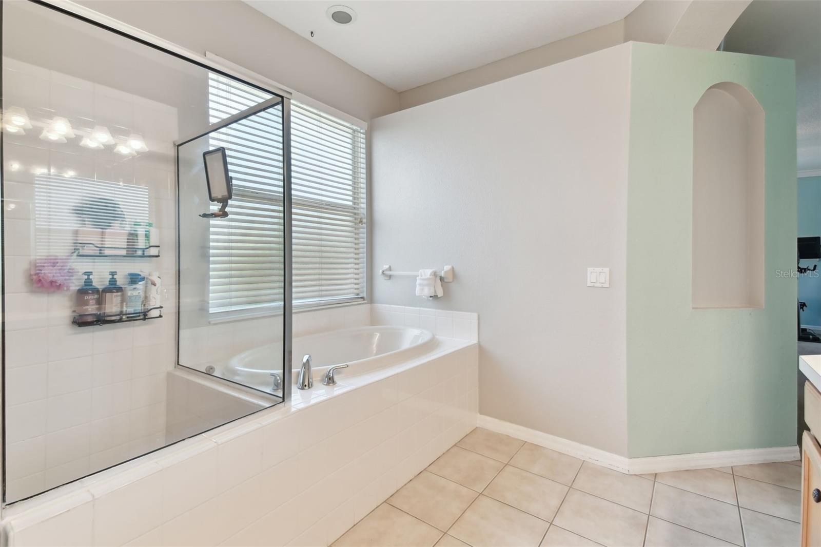 5813 BENT GRASS DR, VALRICO, FL, 33596