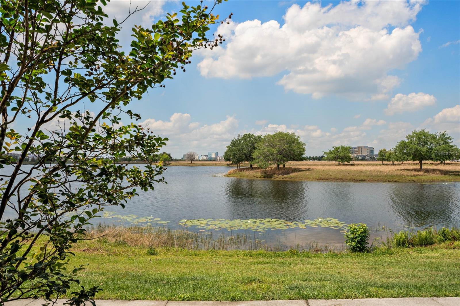 12330 KOSHIBA ALY, ORLANDO, FL, 32827