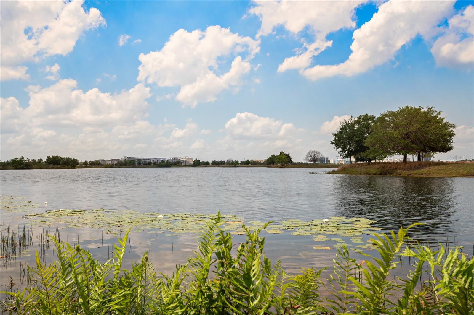 12330 KOSHIBA ALY, ORLANDO, FL, 32827
