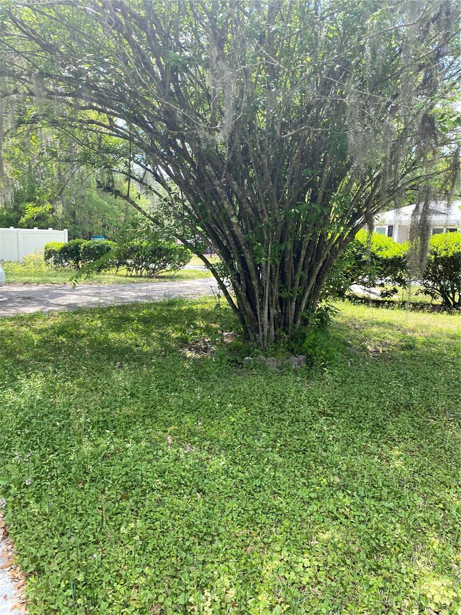 625 NE 24TH ST, GAINESVILLE, FL, 32641