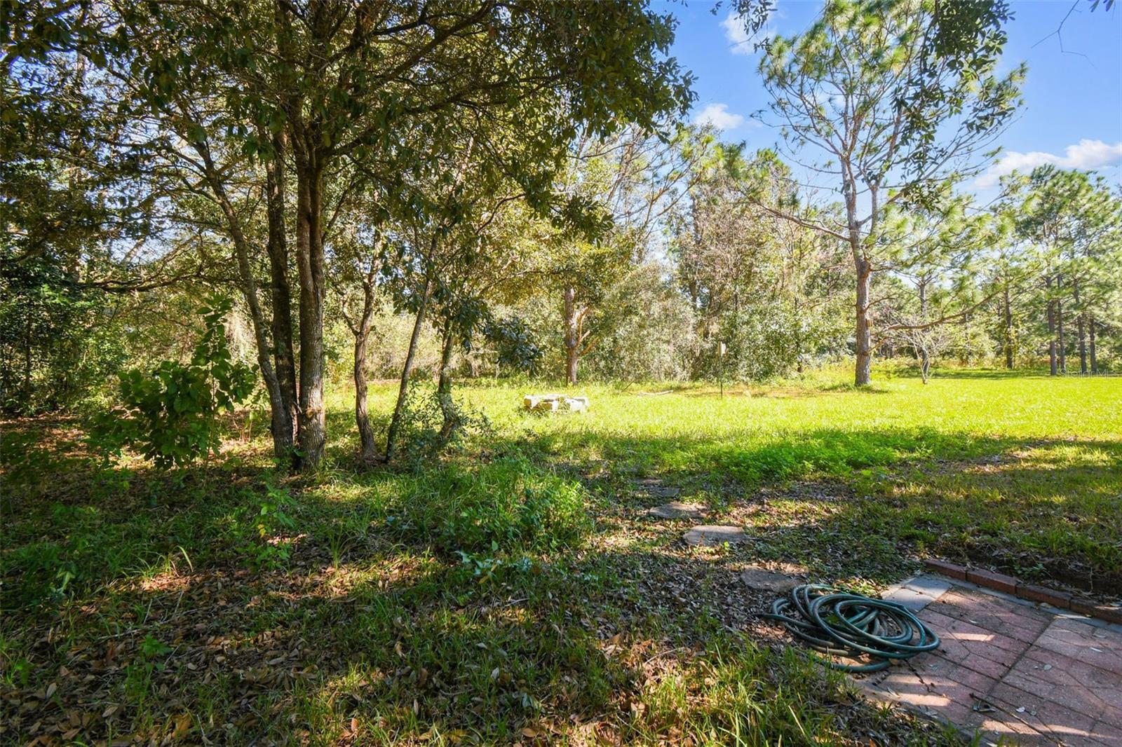 31093 SATINLEAF RUN, BROOKSVILLE, FL, 34602