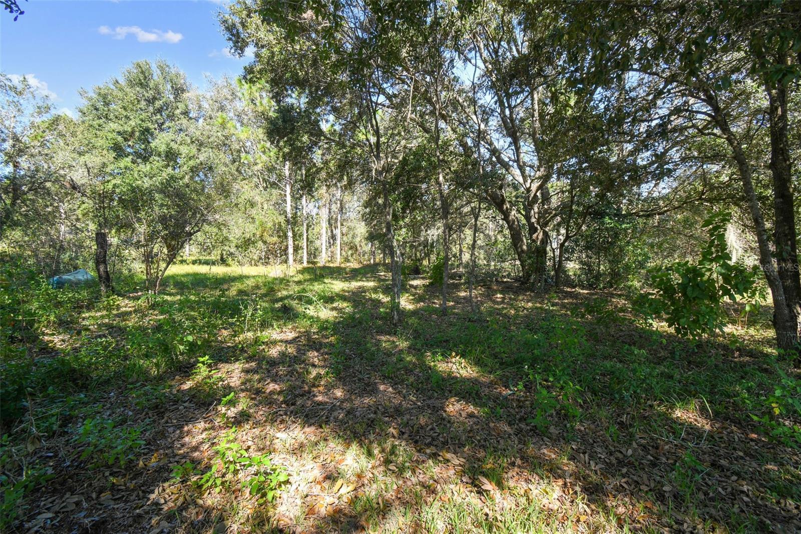 31093 SATINLEAF RUN, BROOKSVILLE, FL, 34602