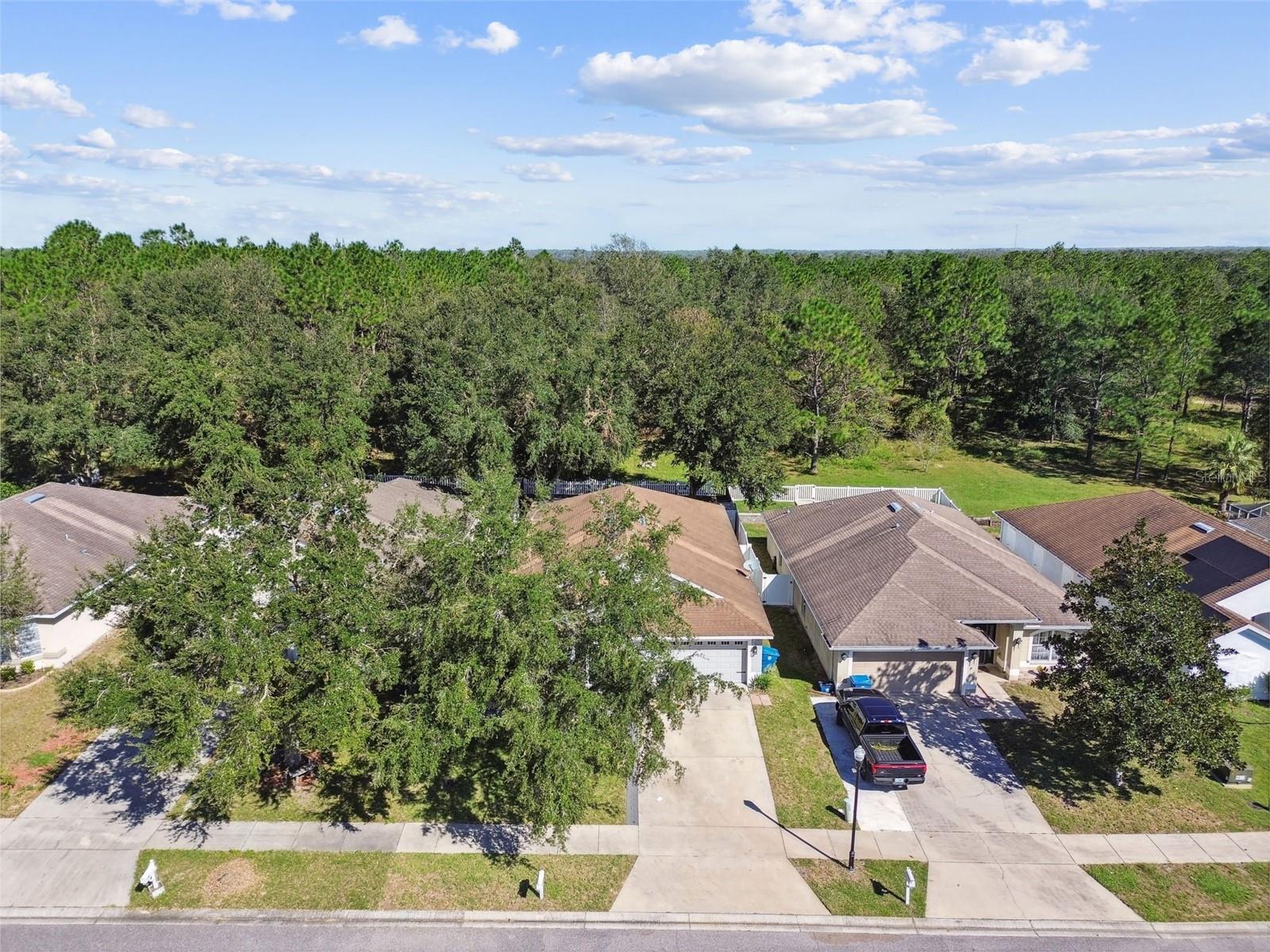 31093 SATINLEAF RUN, BROOKSVILLE, FL, 34602