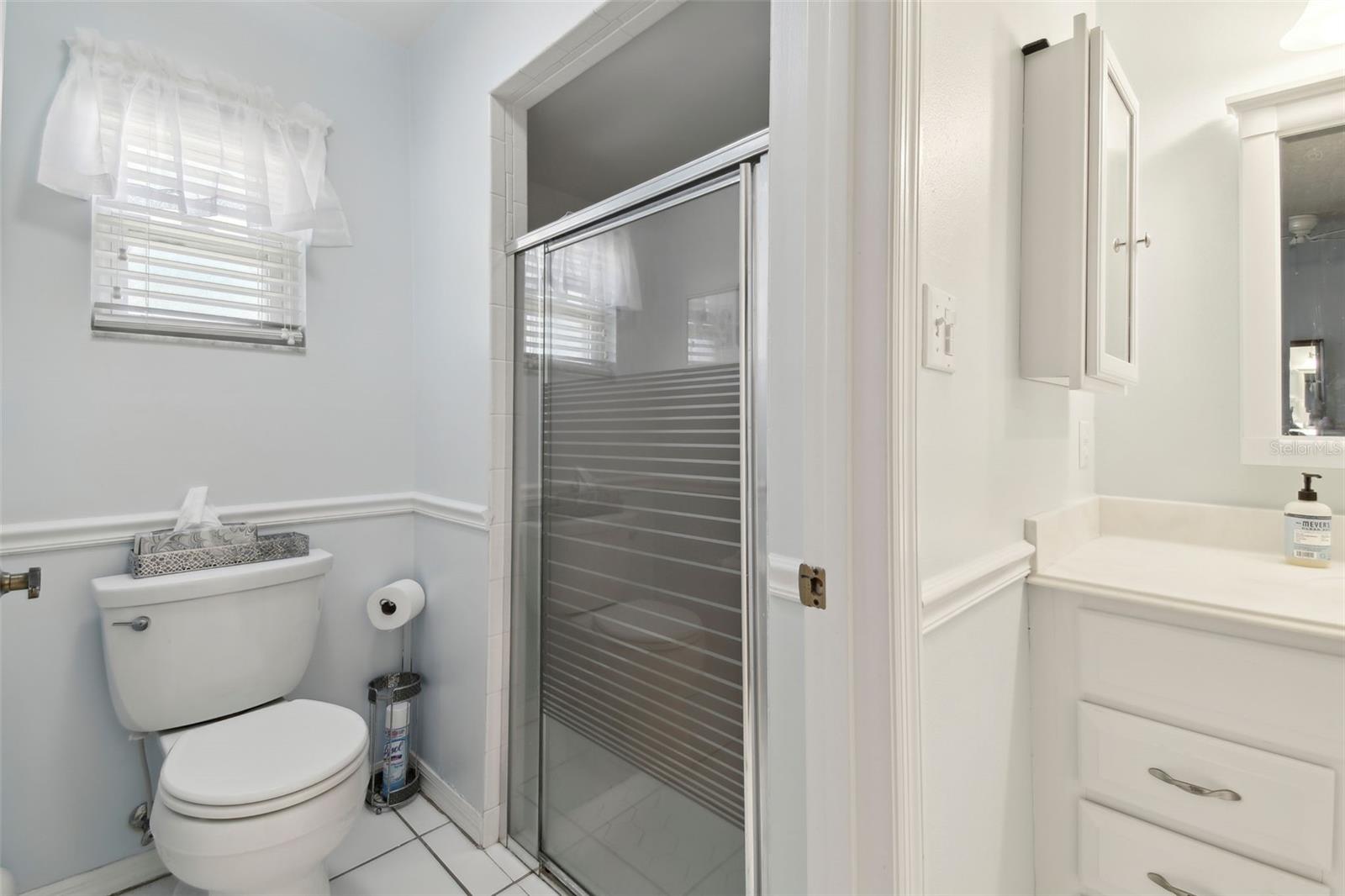 6202 PEACOCK RUN, LAKELAND, FL, 33809