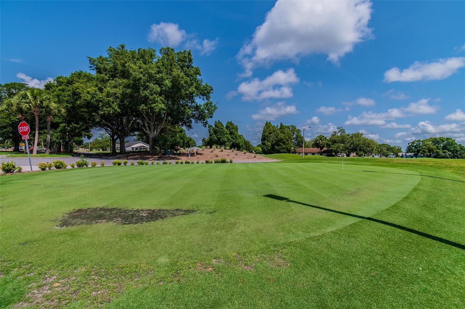 6202 PEACOCK RUN, LAKELAND, FL, 33809