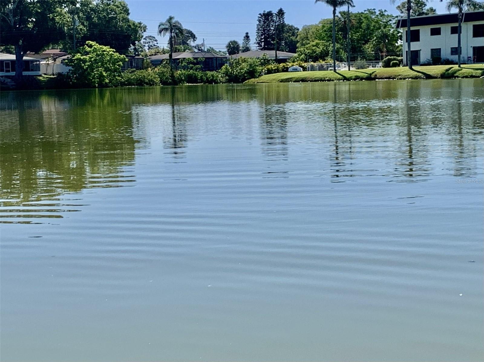 1655 S HIGHLAND AVE #I286, CLEARWATER, FL, 33756