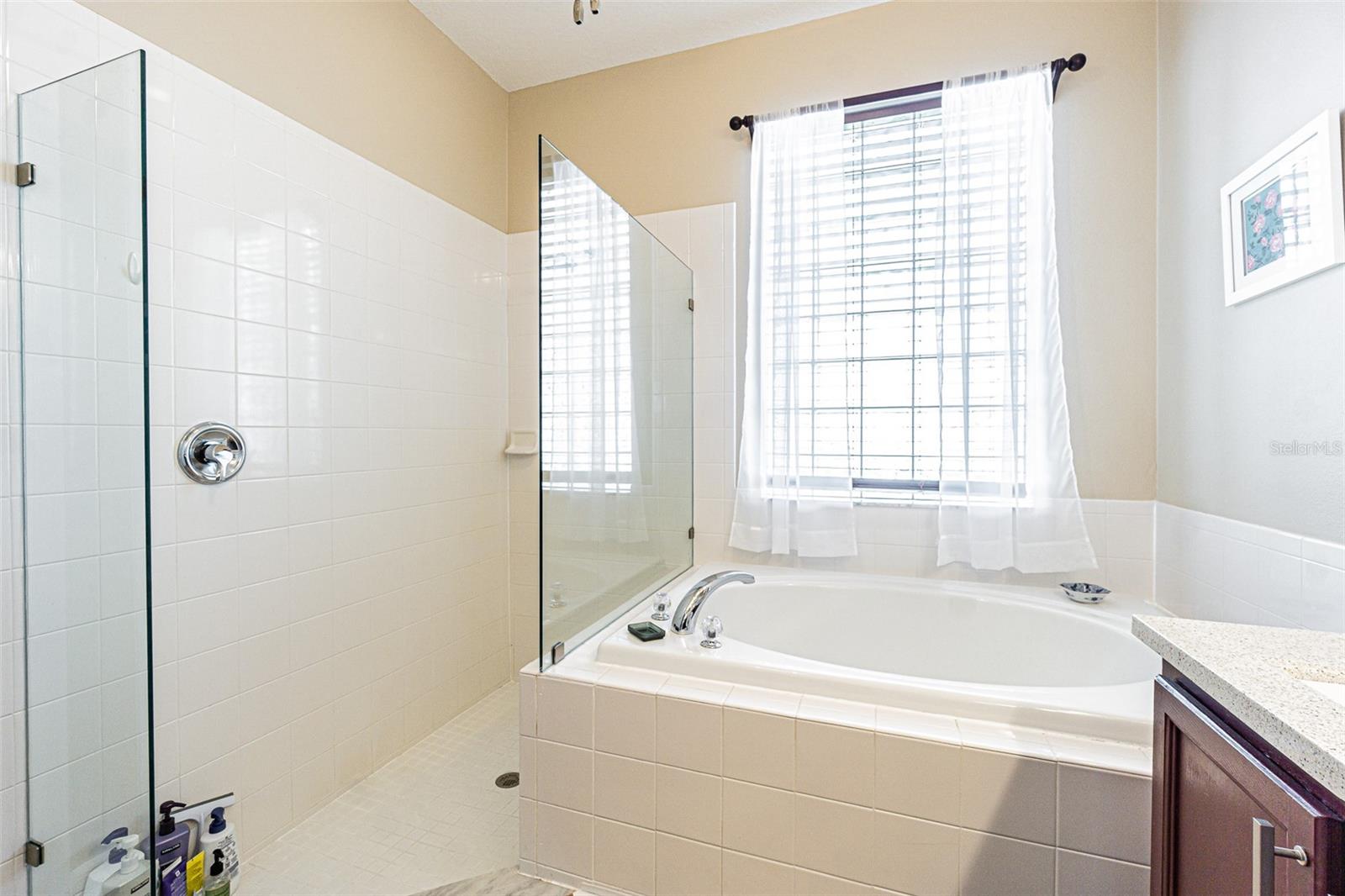 29725 CEDAR WAXWING DR, WESLEY CHAPEL, FL, 33545