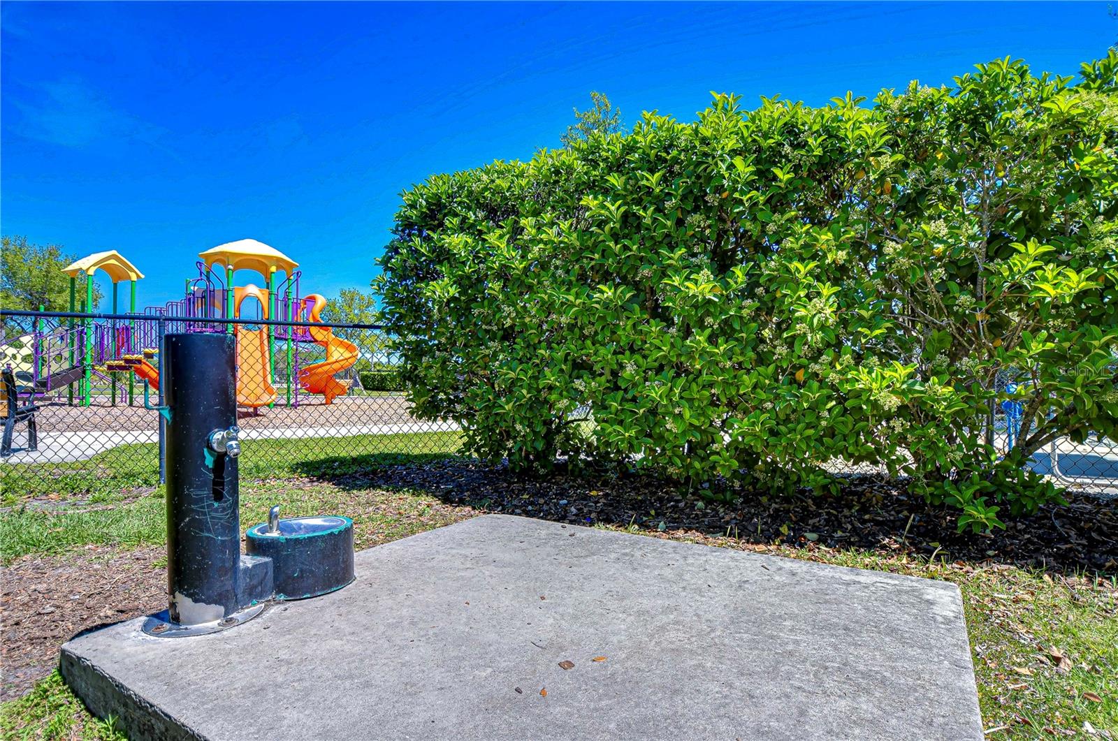 5325 THISTLE FIELD CT, WESLEY CHAPEL, FL, 33545