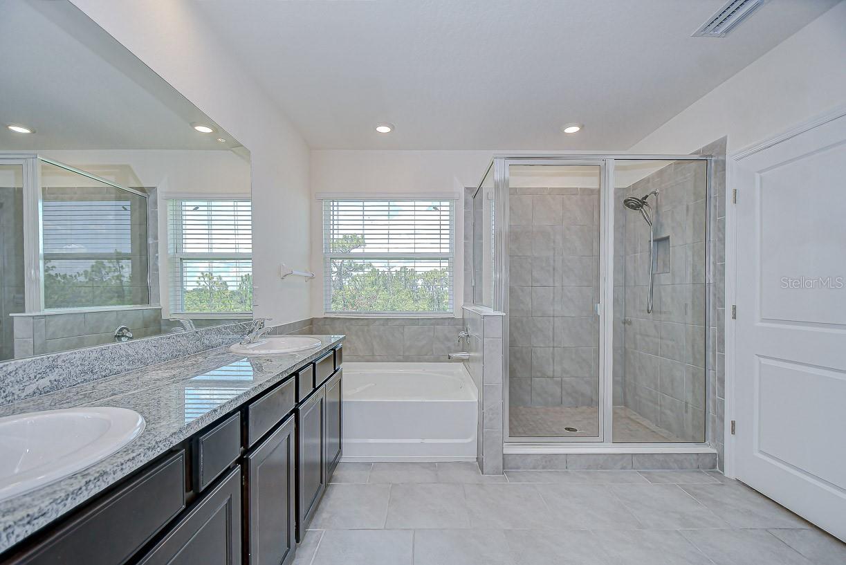 5325 THISTLE FIELD CT, WESLEY CHAPEL, FL, 33545