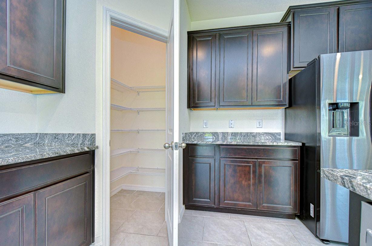 5325 THISTLE FIELD CT, WESLEY CHAPEL, FL, 33545