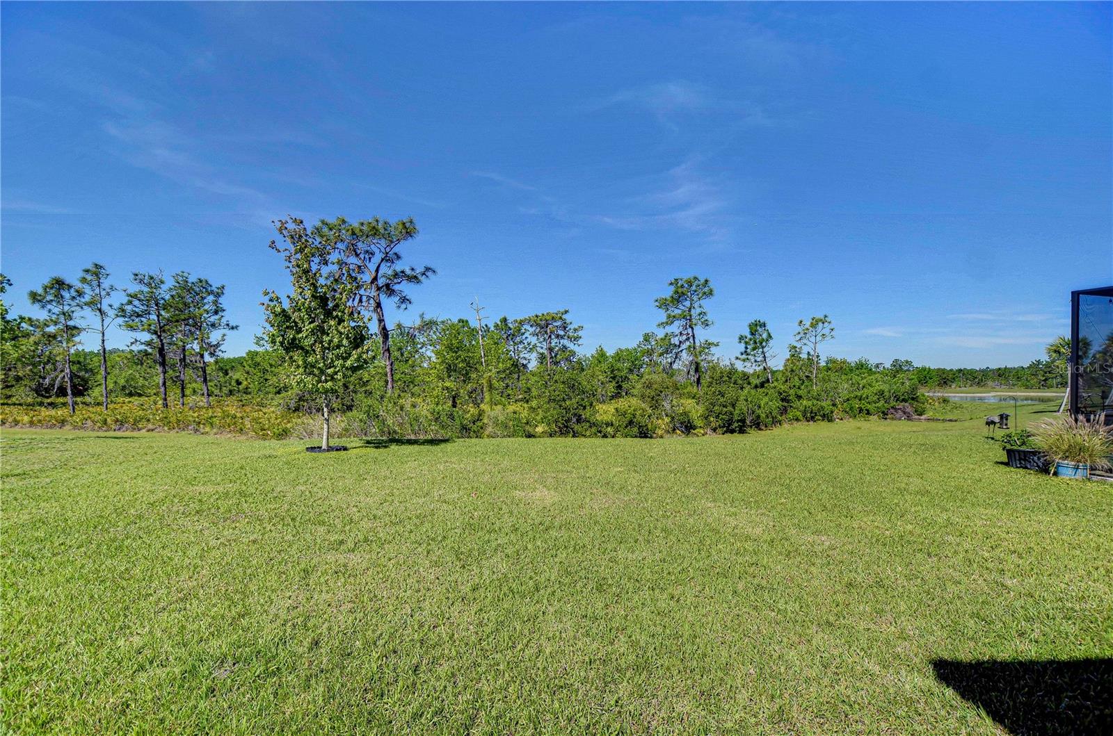 5325 THISTLE FIELD CT, WESLEY CHAPEL, FL, 33545