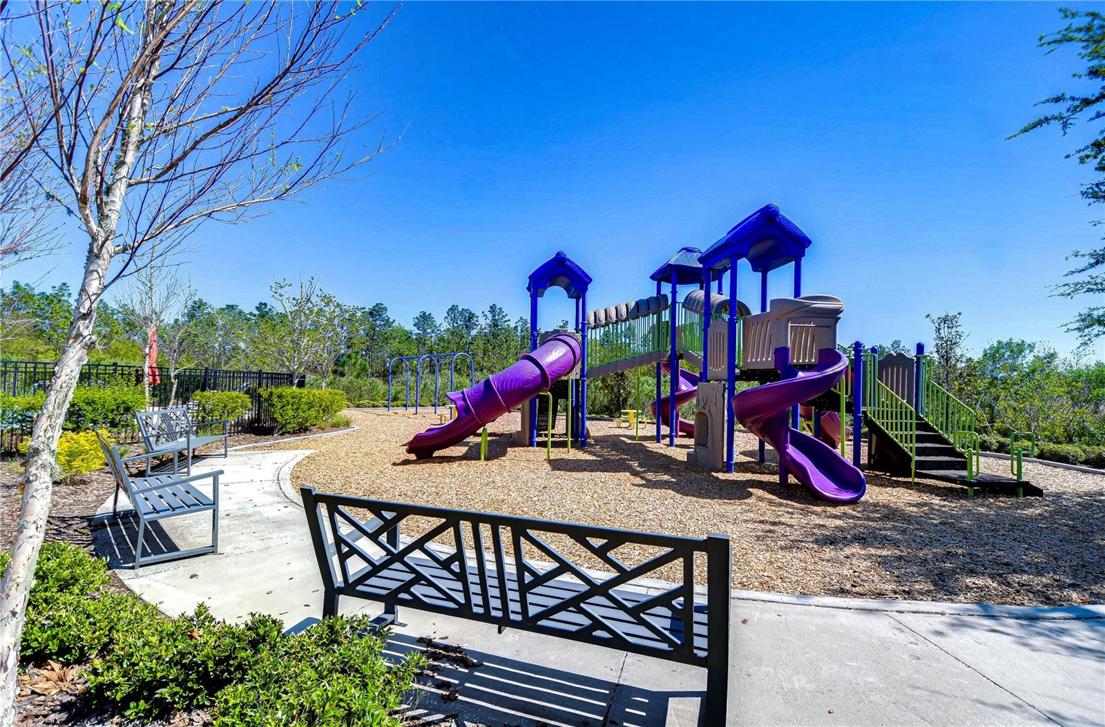 5325 THISTLE FIELD CT, WESLEY CHAPEL, FL, 33545