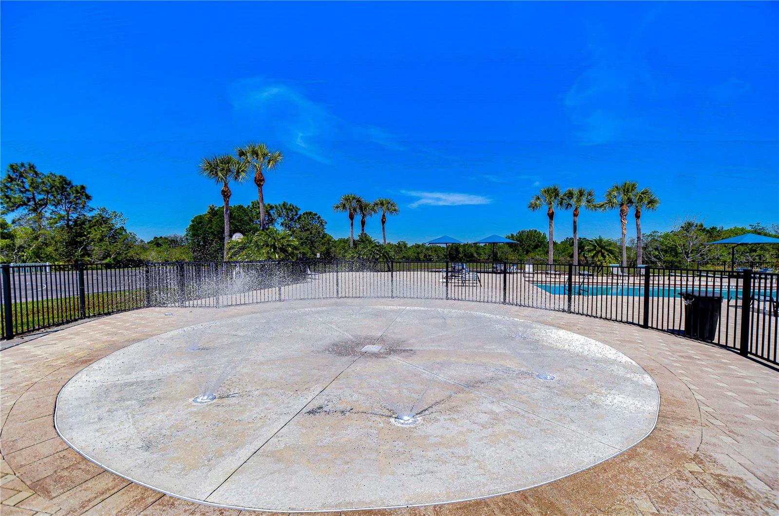 5325 THISTLE FIELD CT, WESLEY CHAPEL, FL, 33545