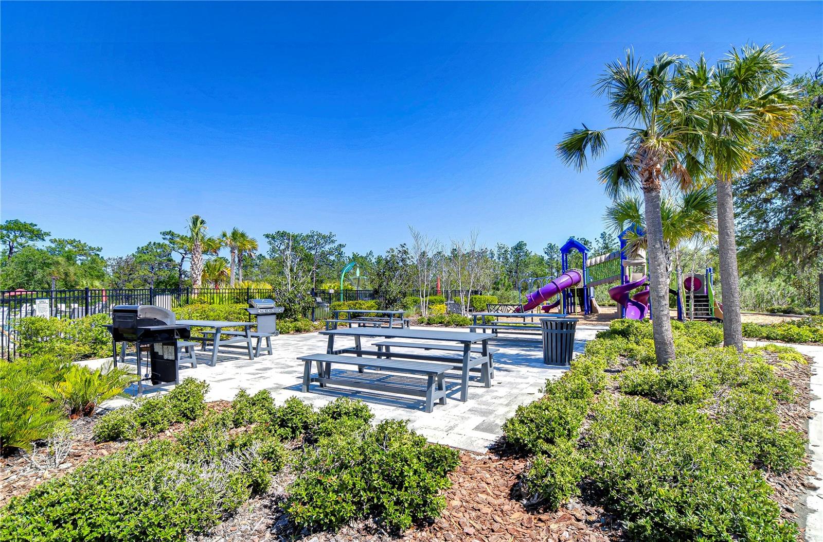 5325 THISTLE FIELD CT, WESLEY CHAPEL, FL, 33545