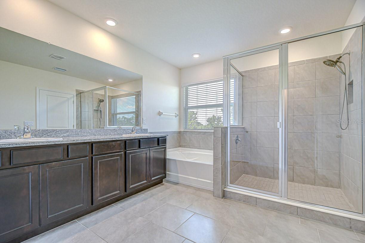 5325 THISTLE FIELD CT, WESLEY CHAPEL, FL, 33545