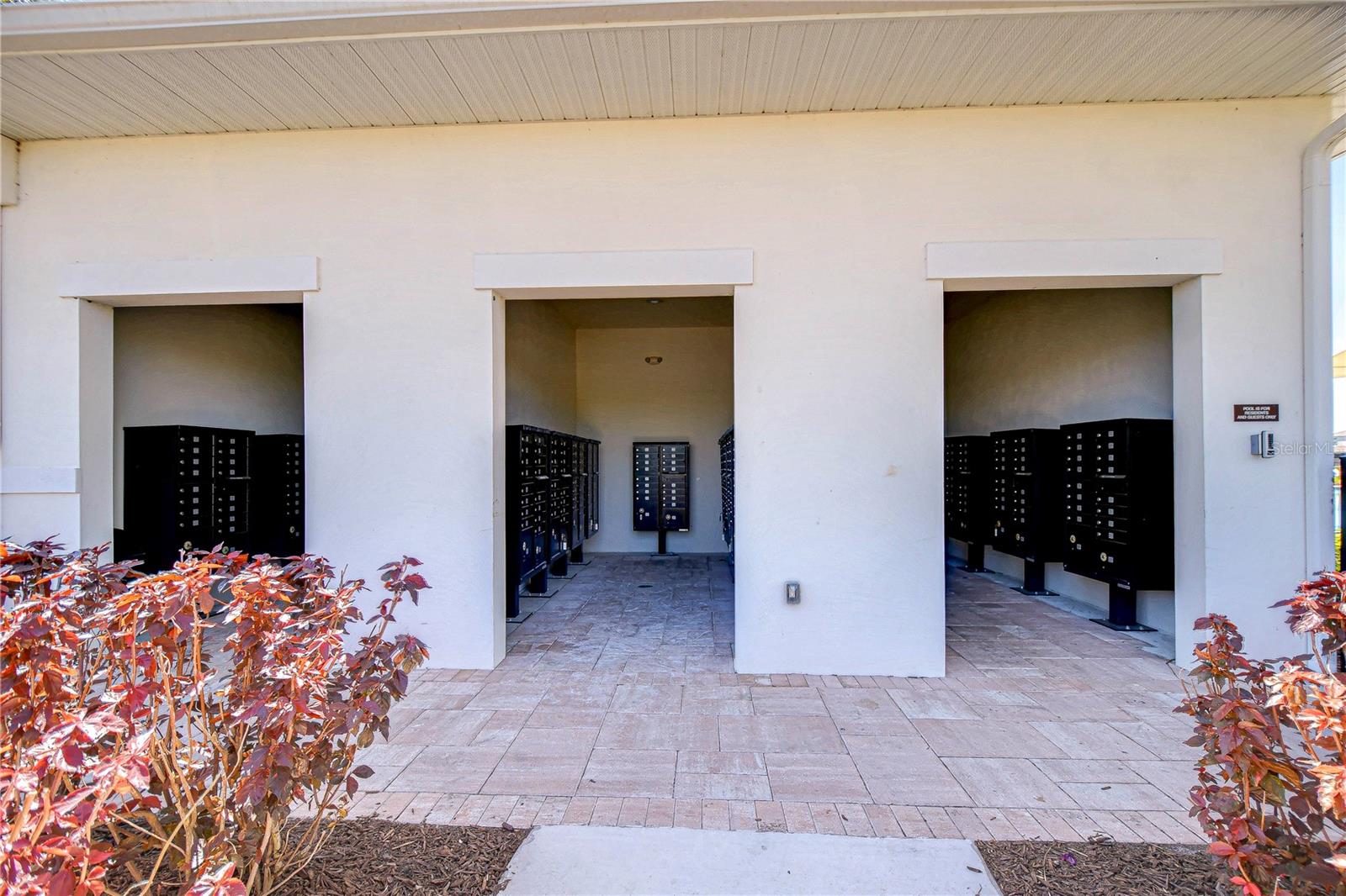 5325 THISTLE FIELD CT, WESLEY CHAPEL, FL, 33545