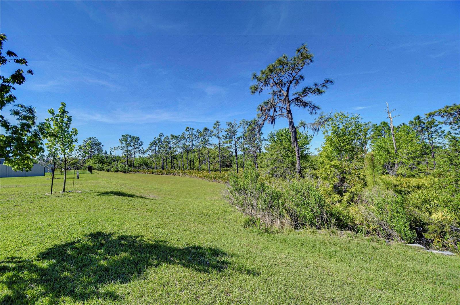 5325 THISTLE FIELD CT, WESLEY CHAPEL, FL, 33545