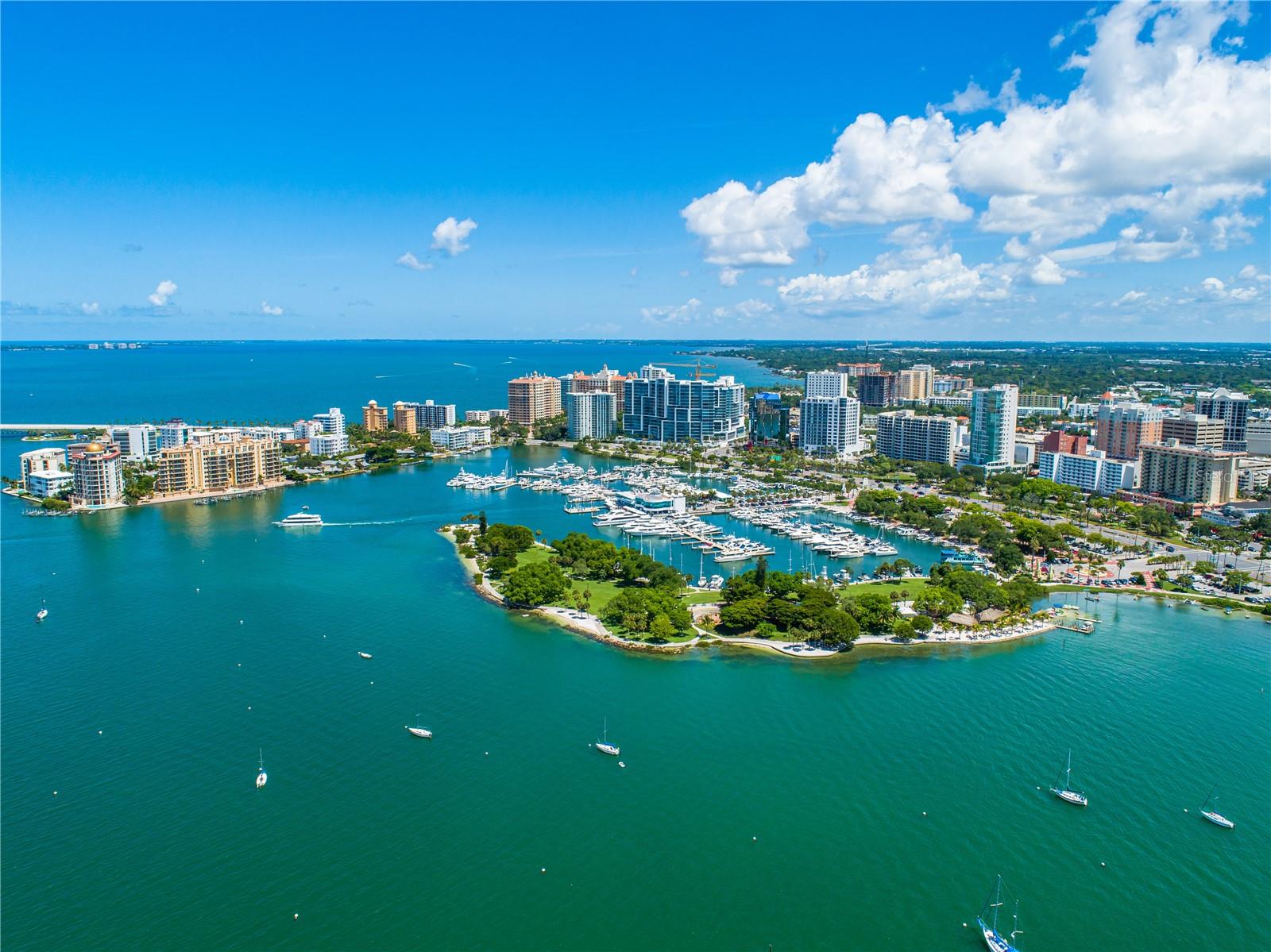 2909 CONCORD ST, SARASOTA, FL, 34231