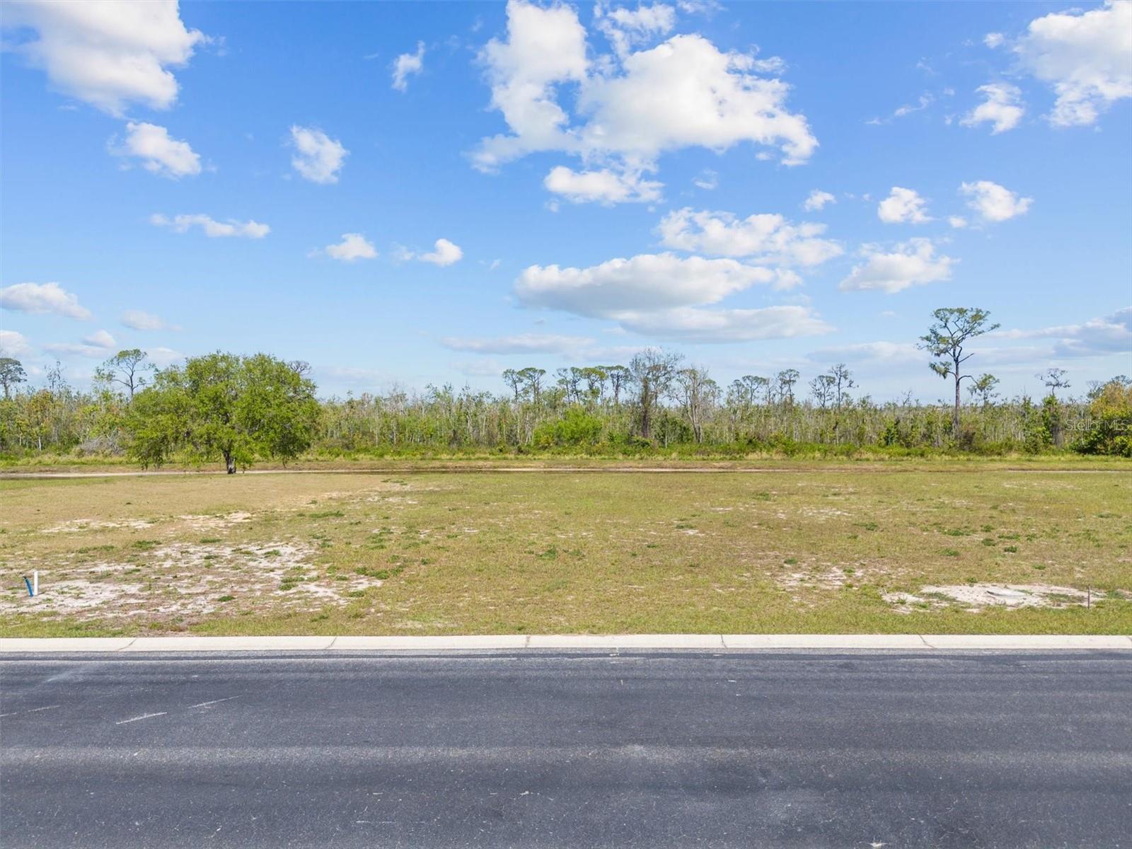 345 ADAMS VIEW LN, AUBURNDALE, FL, 33823