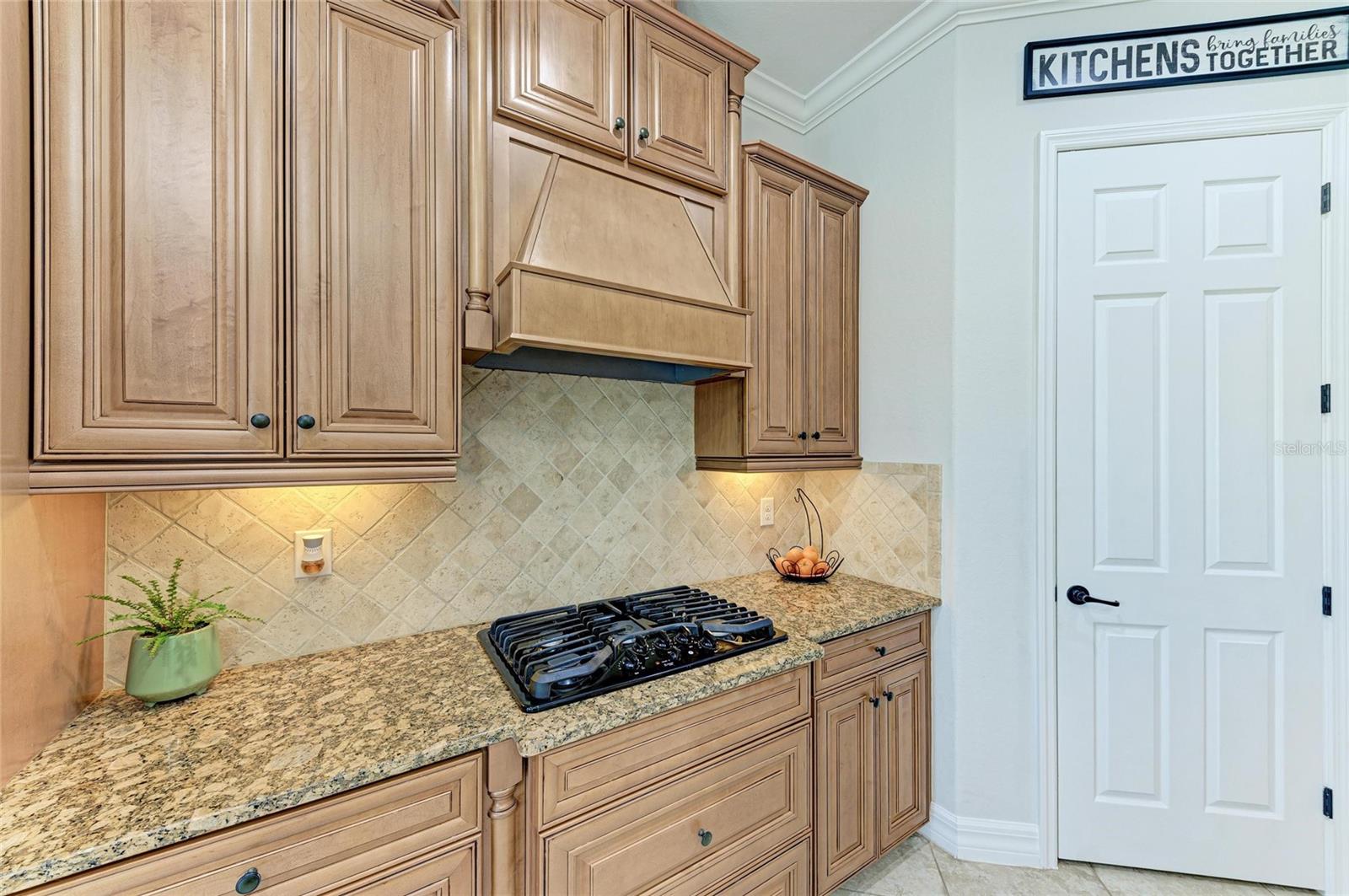 13107 BRIDGEPORT XING, LAKEWOOD RANCH, FL, 34211