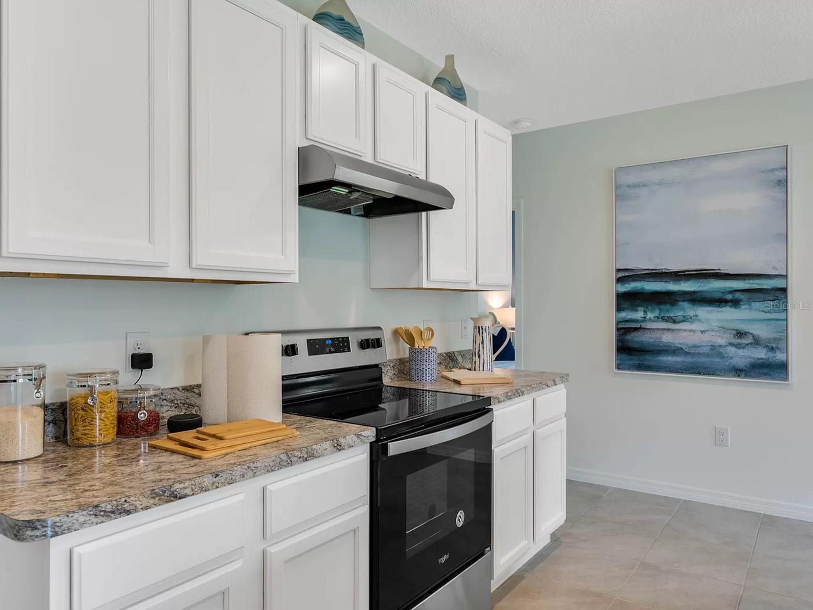 30132 ARMENIA RD, LEESBURG, FL, 34748