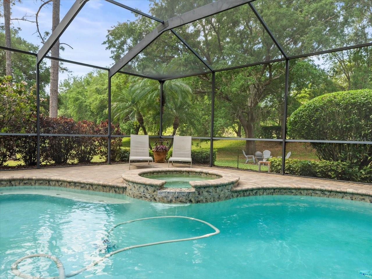 428 PINE BLUFF DR, LUTZ, FL, 33549