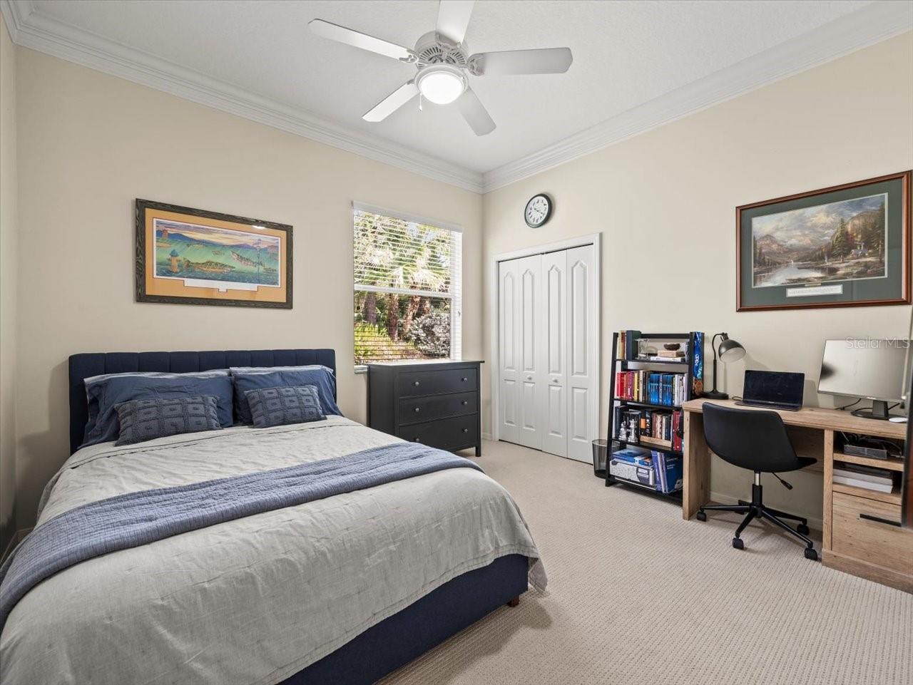 428 PINE BLUFF DR, LUTZ, FL, 33549