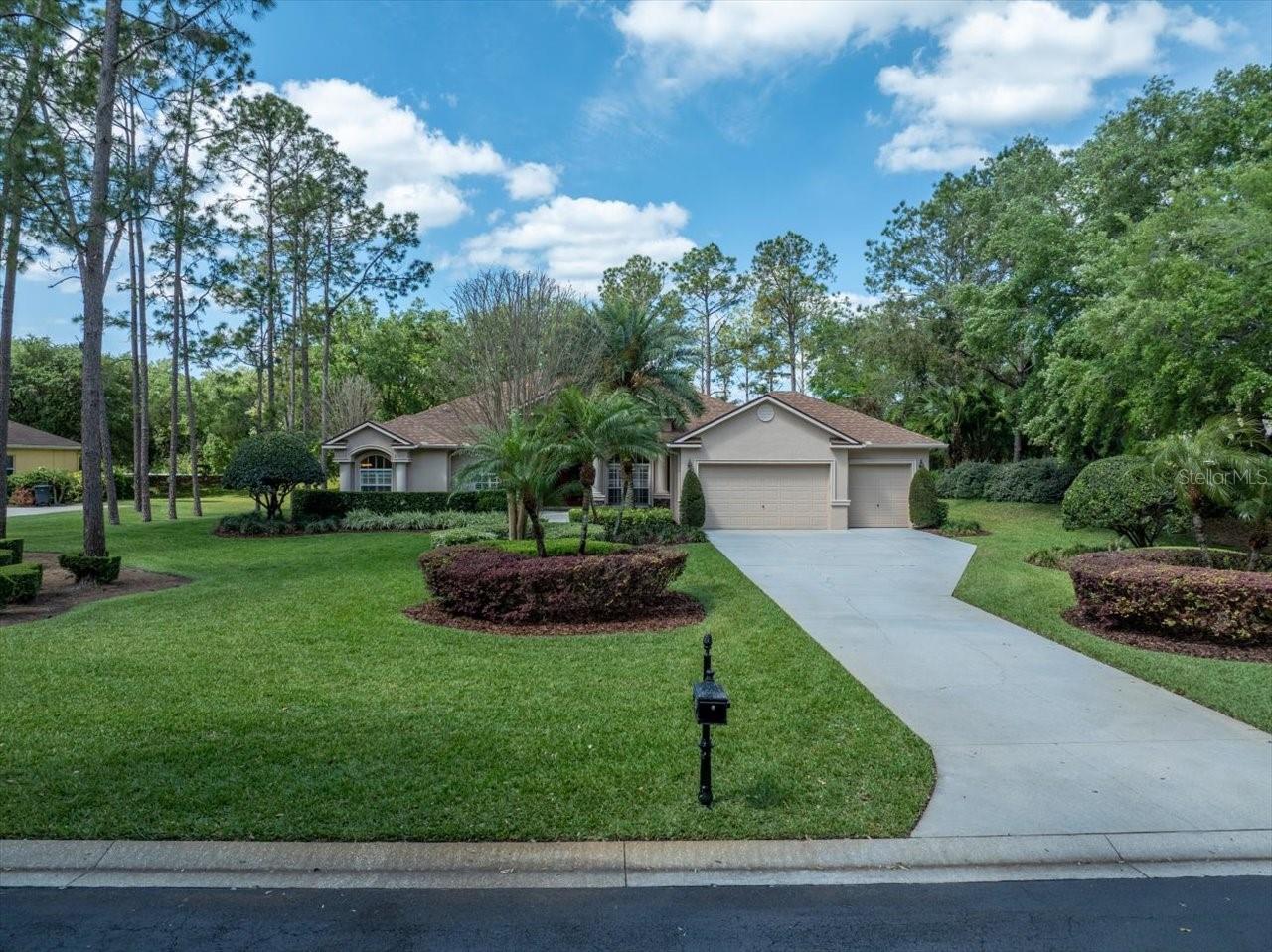 428 PINE BLUFF DR, LUTZ, FL, 33549