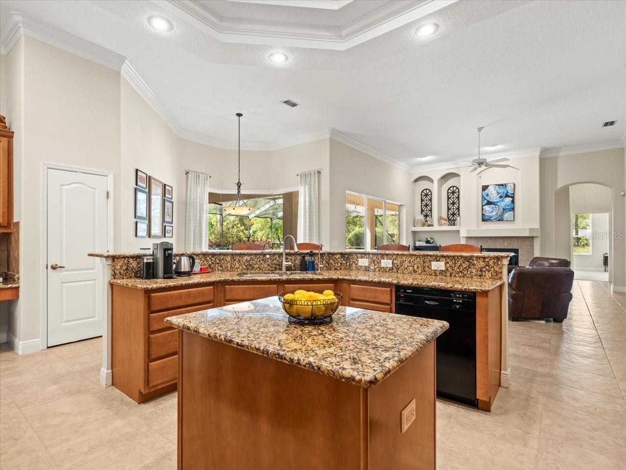 428 PINE BLUFF DR, LUTZ, FL, 33549