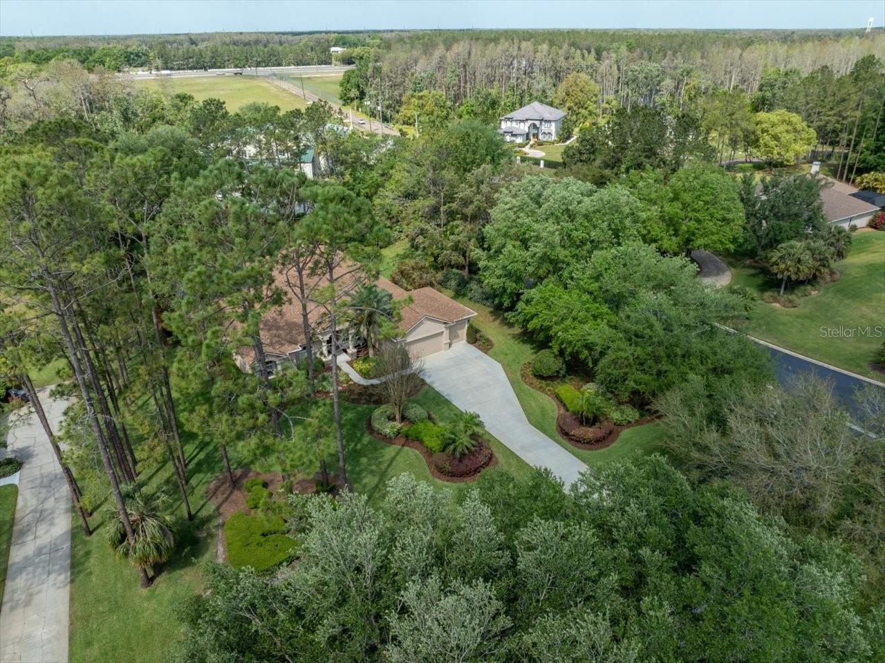 428 PINE BLUFF DR, LUTZ, FL, 33549