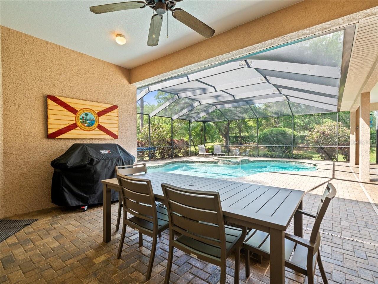 428 PINE BLUFF DR, LUTZ, FL, 33549