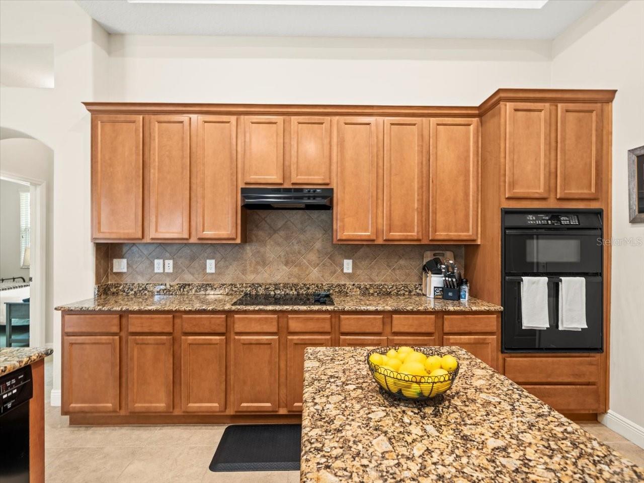 428 PINE BLUFF DR, LUTZ, FL, 33549