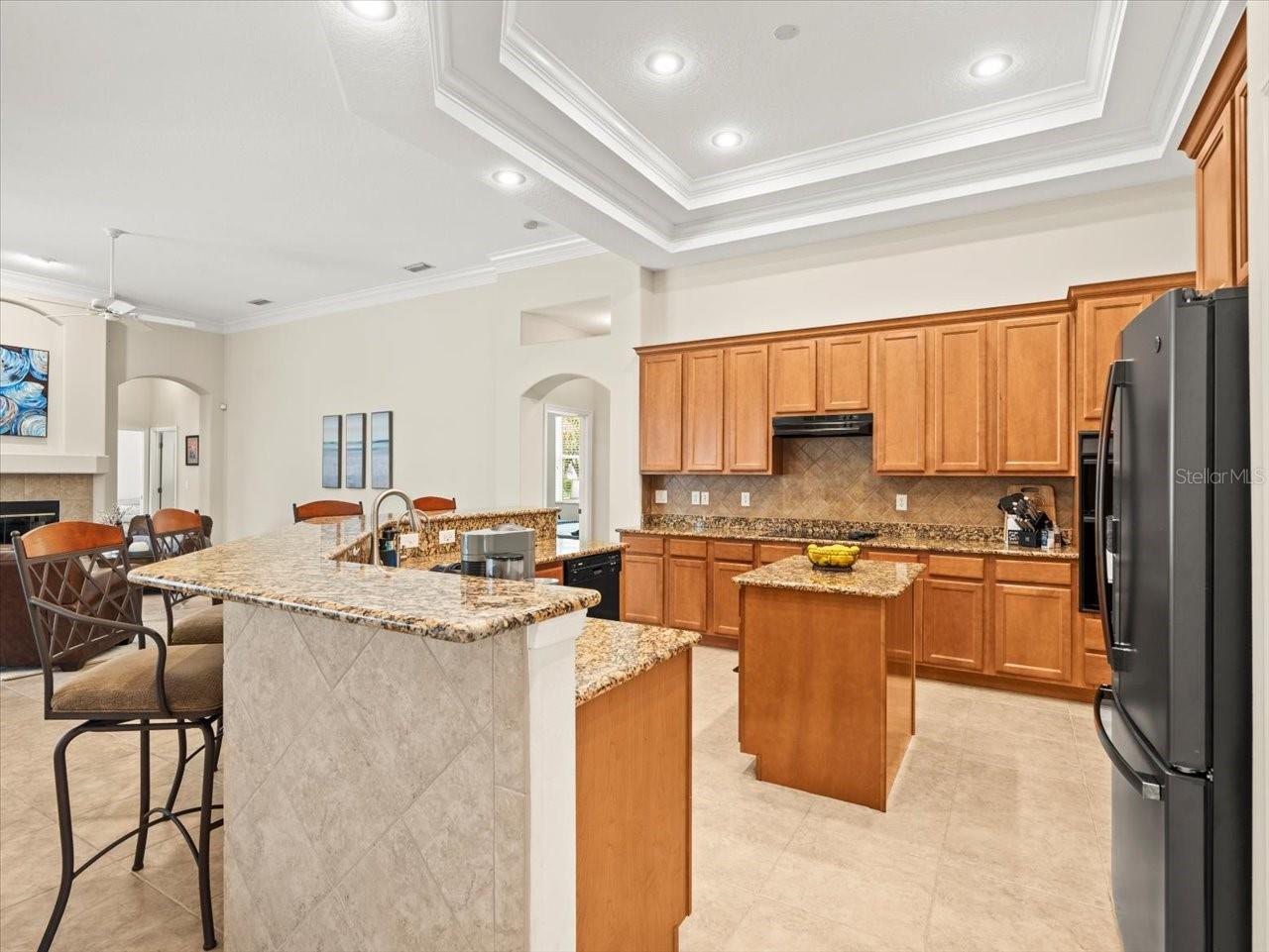 428 PINE BLUFF DR, LUTZ, FL, 33549