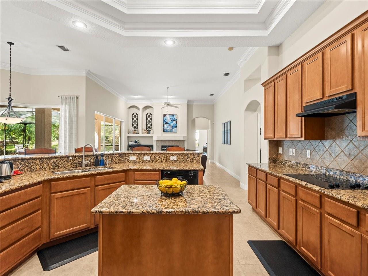 428 PINE BLUFF DR, LUTZ, FL, 33549