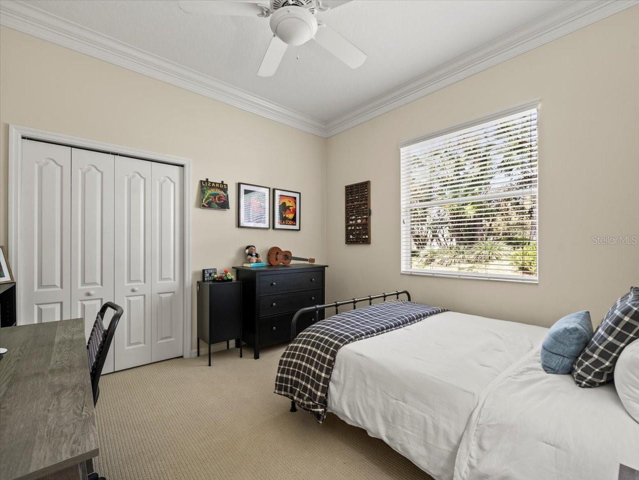 428 PINE BLUFF DR, LUTZ, FL, 33549