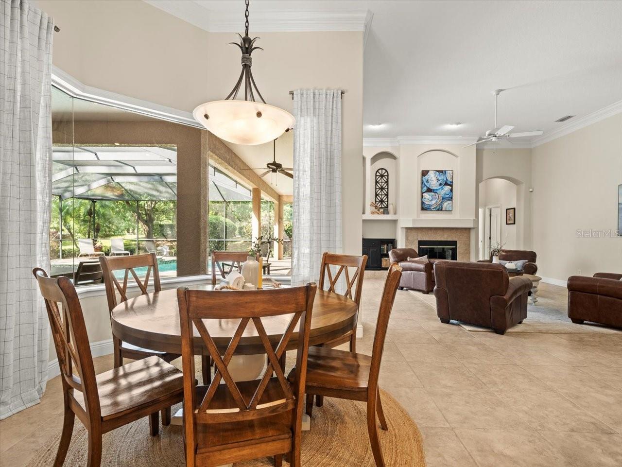 428 PINE BLUFF DR, LUTZ, FL, 33549