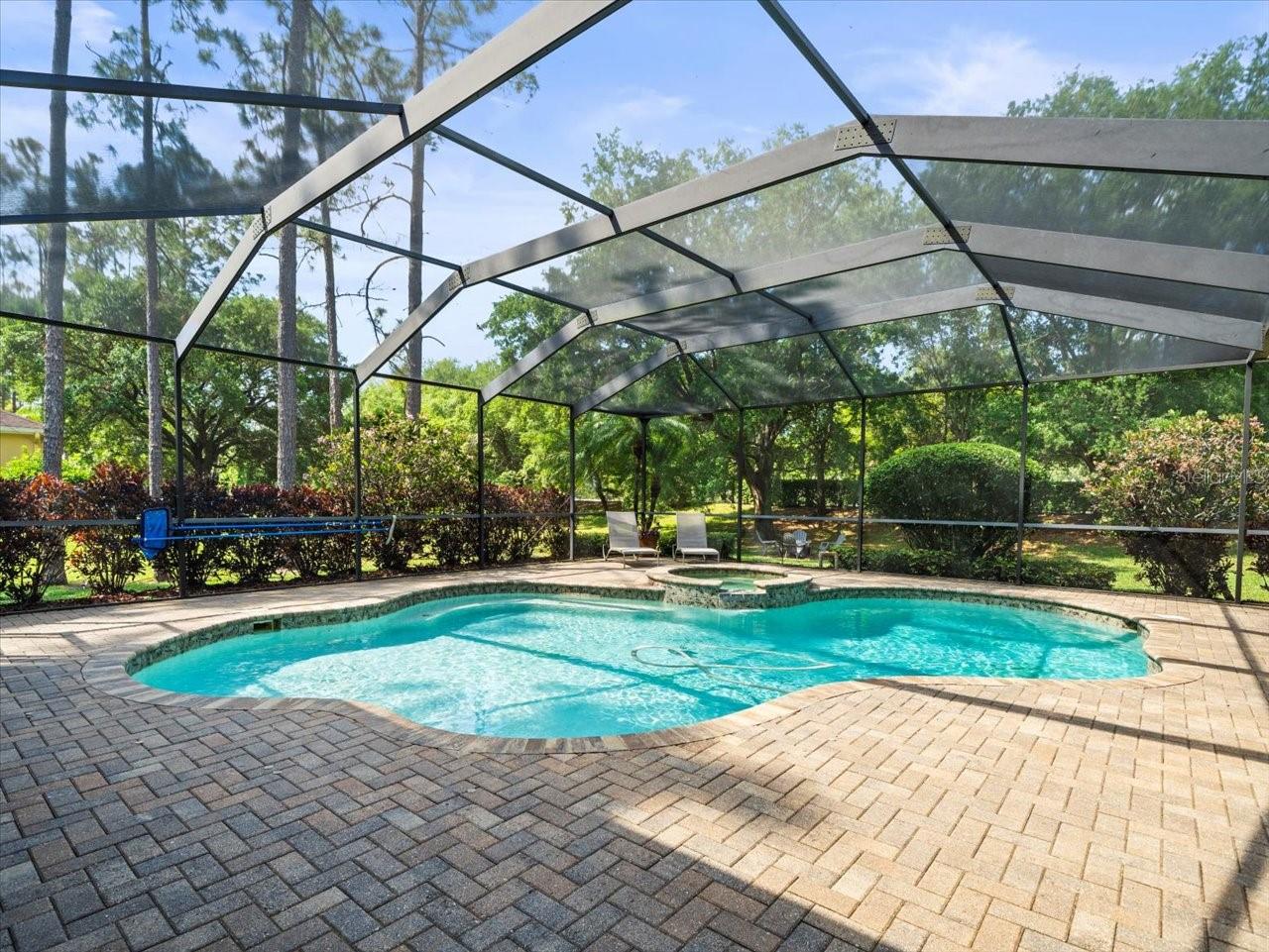 428 PINE BLUFF DR, LUTZ, FL, 33549