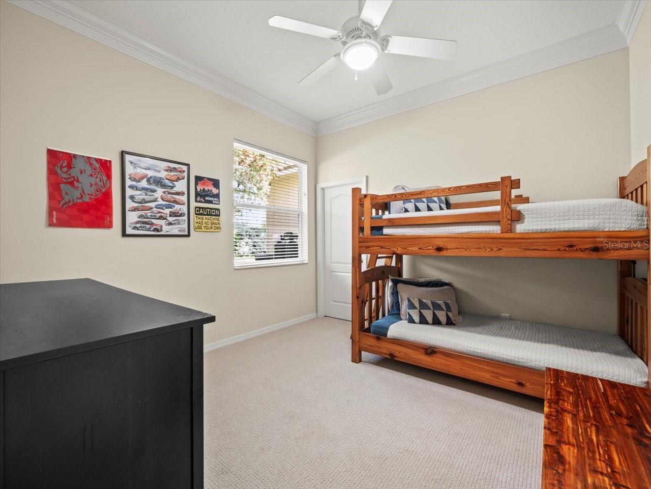 428 PINE BLUFF DR, LUTZ, FL, 33549