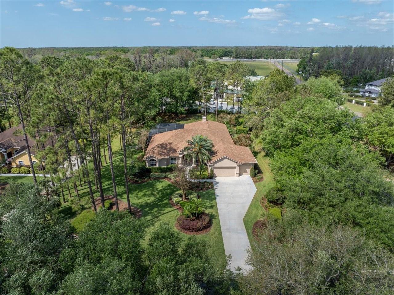 428 PINE BLUFF DR, LUTZ, FL, 33549