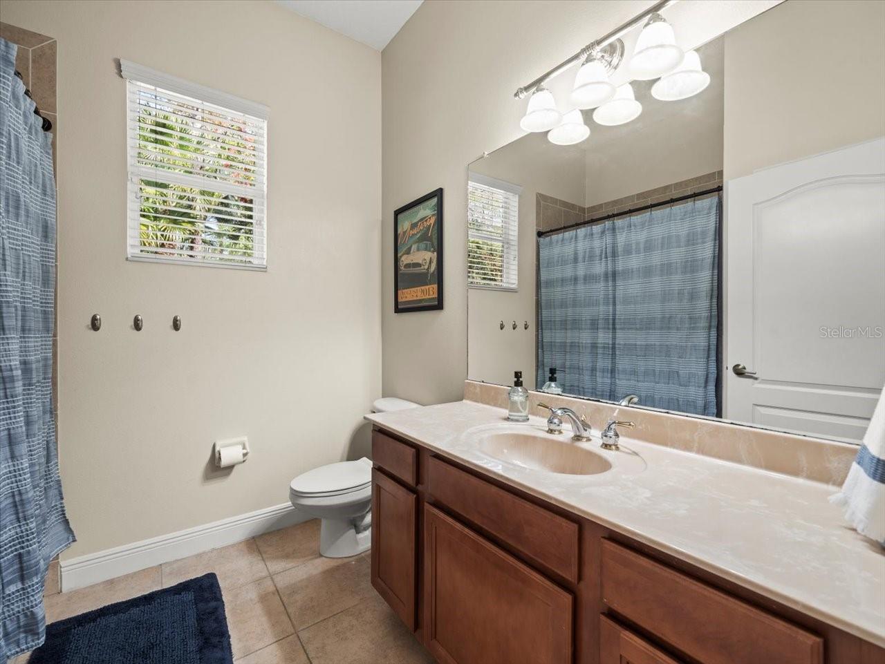 428 PINE BLUFF DR, LUTZ, FL, 33549