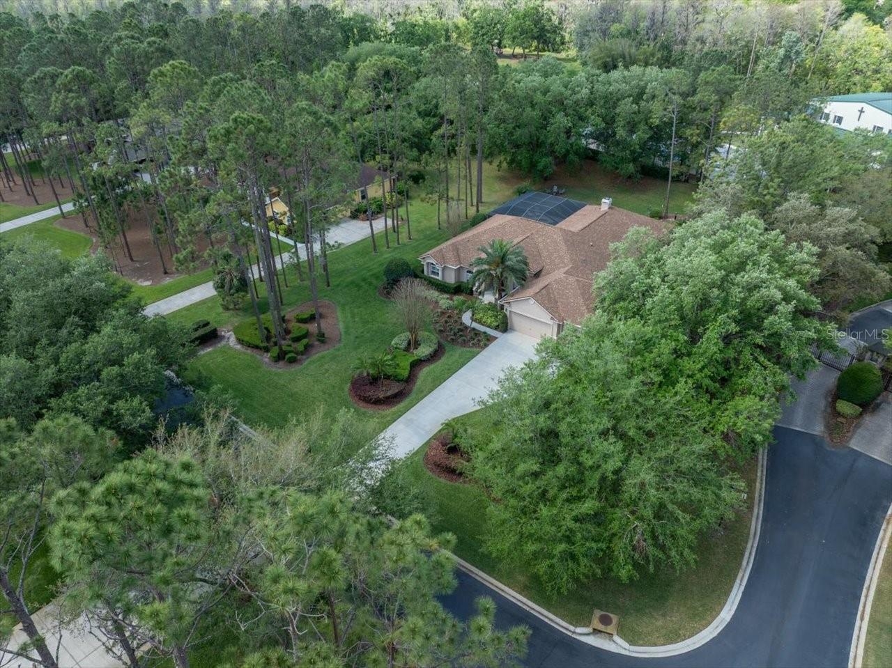 428 PINE BLUFF DR, LUTZ, FL, 33549