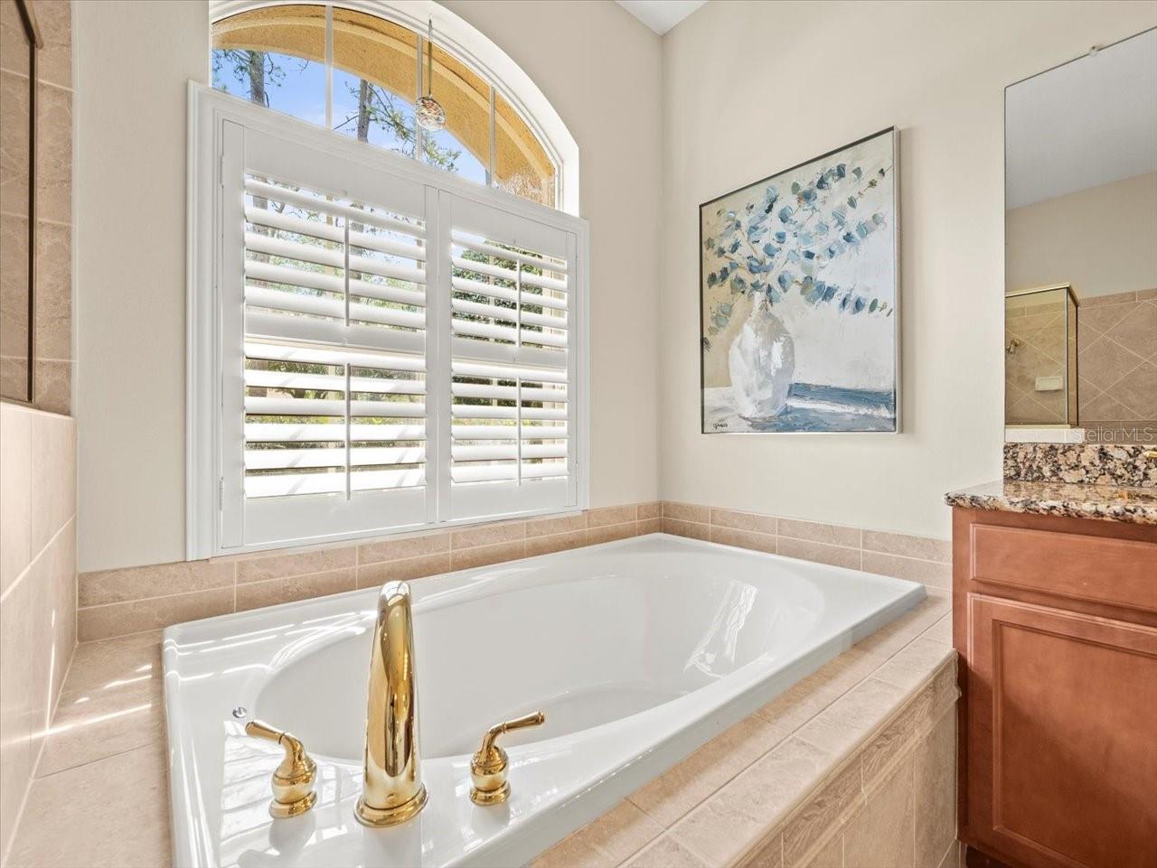 428 PINE BLUFF DR, LUTZ, FL, 33549