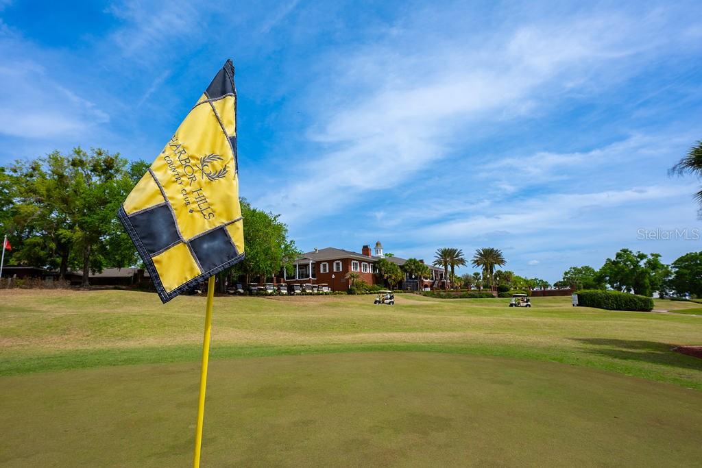 39900 BAYVIEW DR, LADY LAKE, FL, 32159