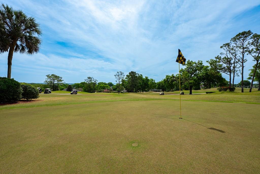 39900 BAYVIEW DR, LADY LAKE, FL, 32159