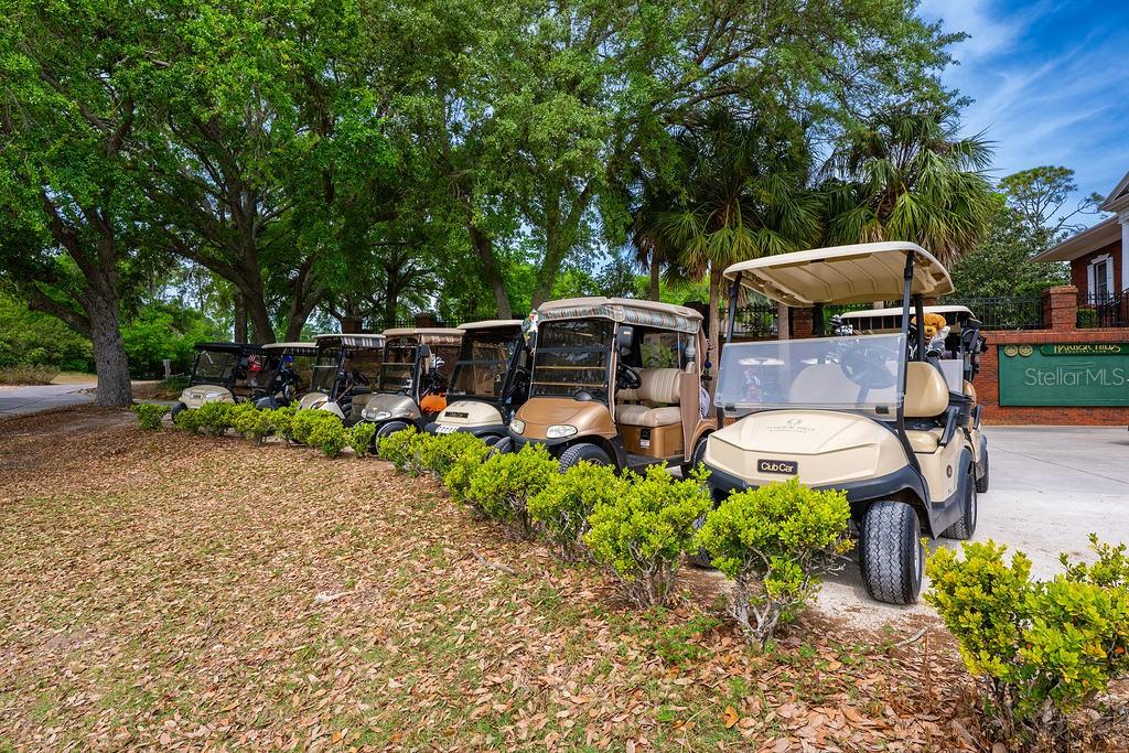 39900 BAYVIEW DR, LADY LAKE, FL, 32159