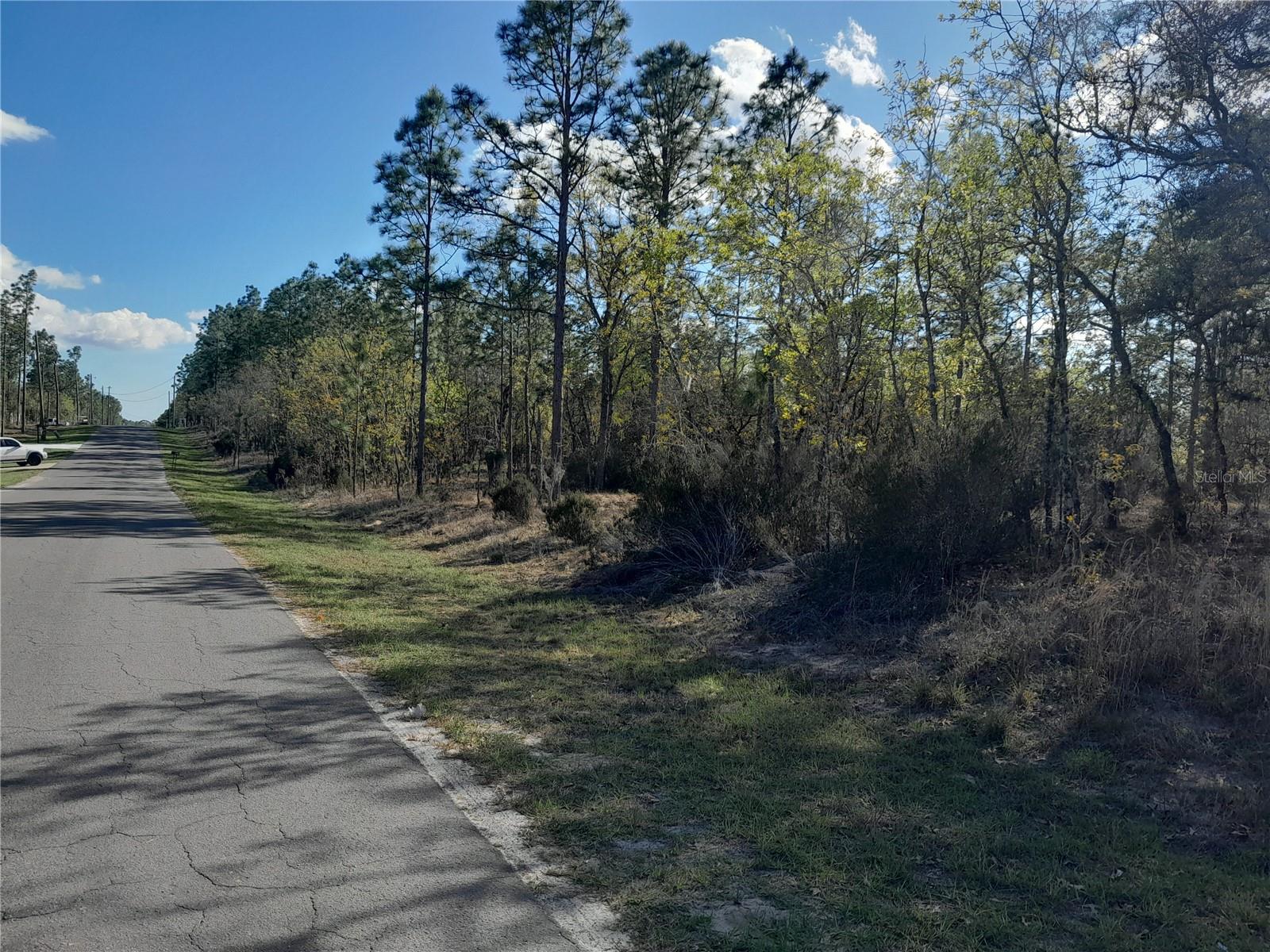 tbd NE 150TH AVE, WILLISTON, FL, 32696