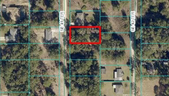 SE 41ST TER, SUMMERFIELD, FL, 34491