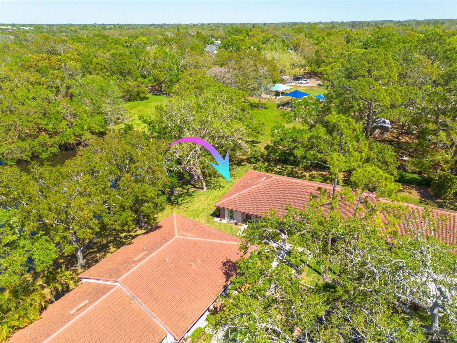 1201 MONTROSE PL, DUNEDIN, FL, 34698