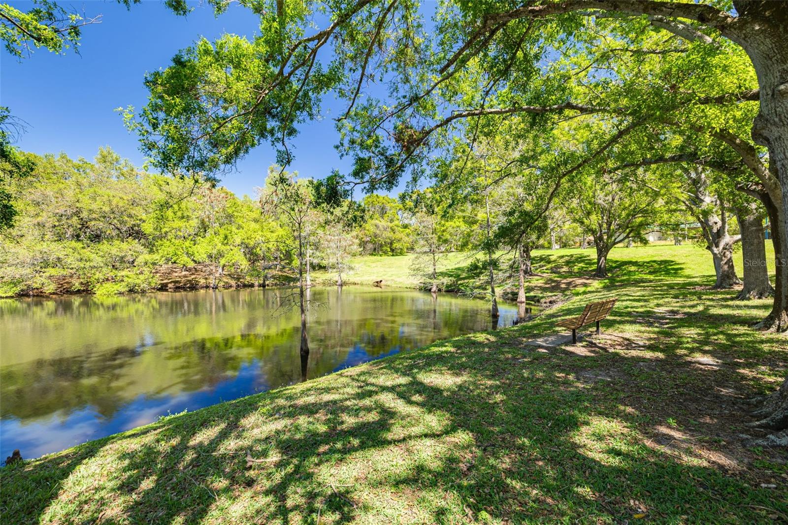 1201 MONTROSE PL, DUNEDIN, FL, 34698