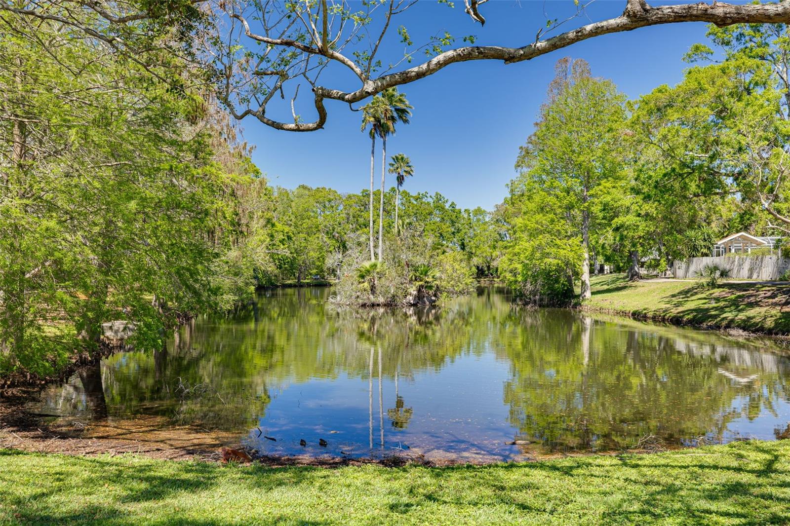 1201 MONTROSE PL, DUNEDIN, FL, 34698